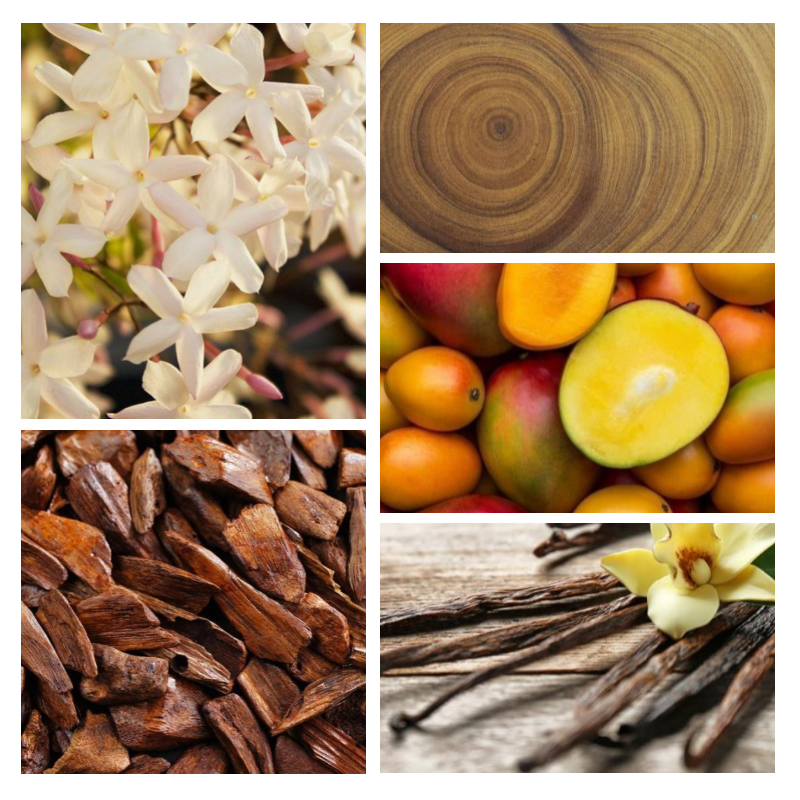 "F71 Florale Fruitée" une alternative à "Fame®" de Paco Rabanne