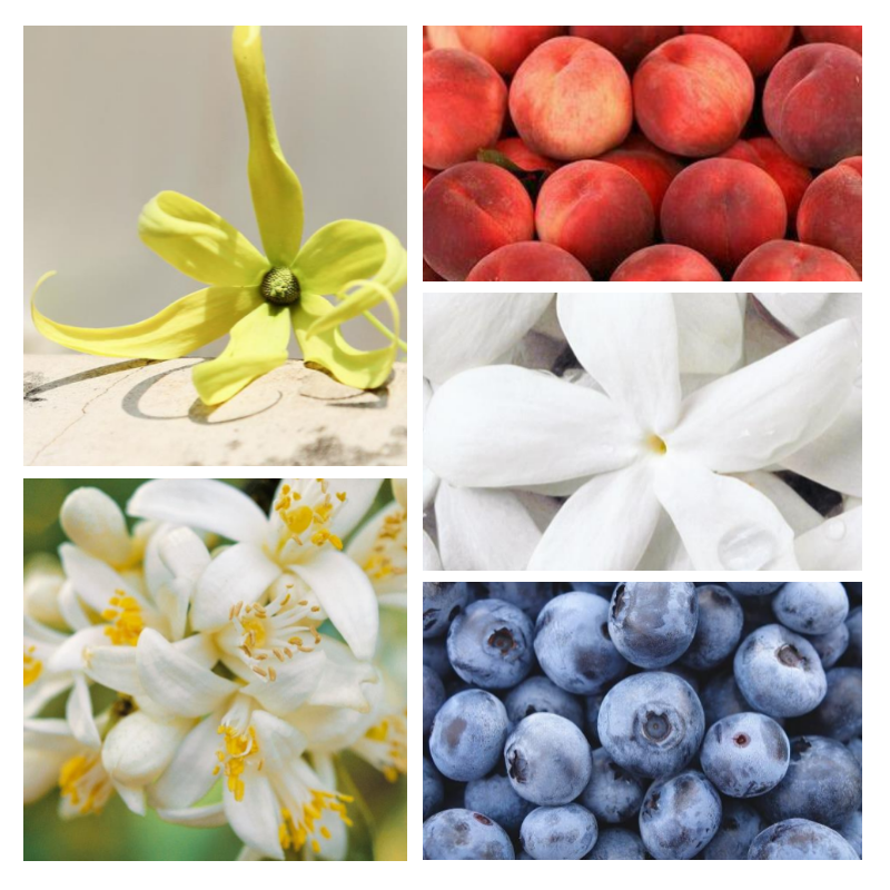 "F72 Florale Fruitée" une alternative à "My Way®" de Giorgio Armani