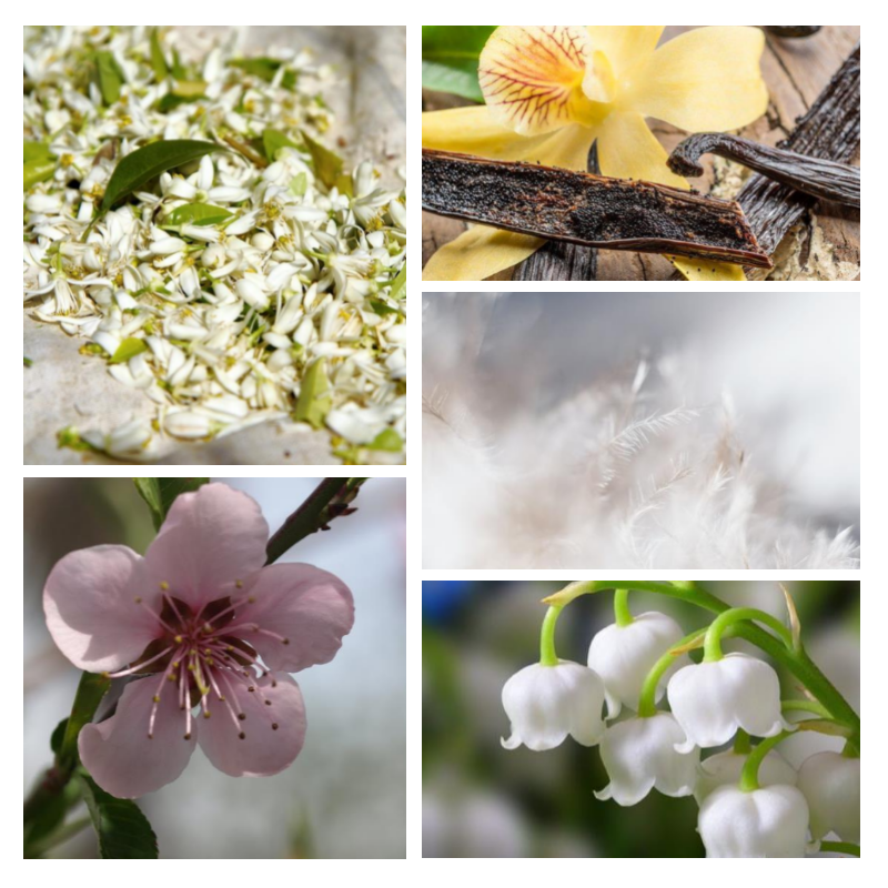 "F75 Florale Musquée" une alternative à "Armani Code®" Giorgio Armani