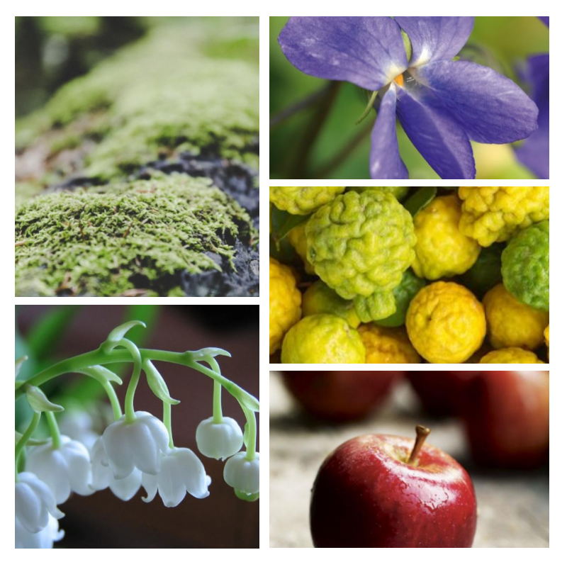 "F79 Chyprée Fruitée" une alternative à "Nomade Chloé®" de Chloé