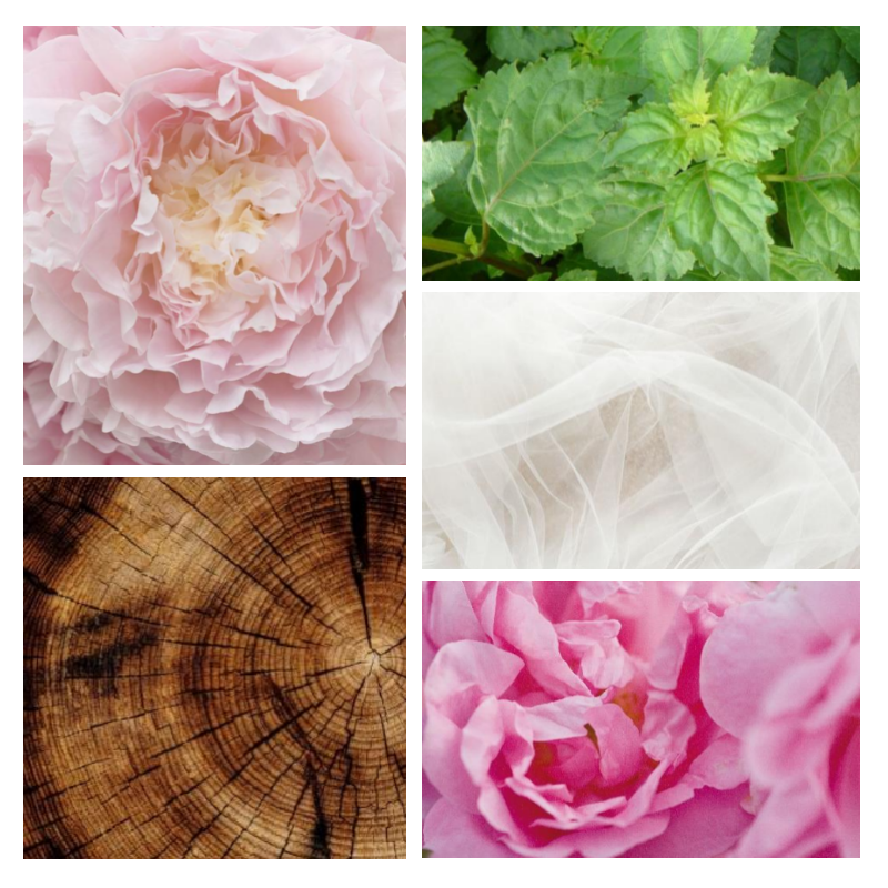 "F81 Chyprée Boisée" une alternative à "L'Eau de Chloé®" Chloé