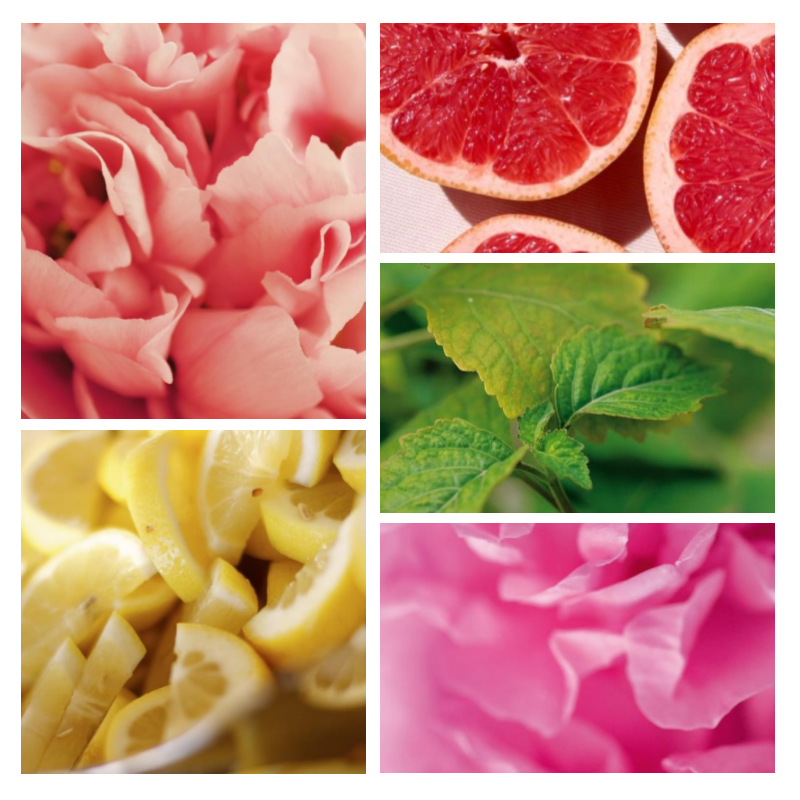 "F82 Florale Fraîche" une alternative à "Coco Noir®" de Chanel