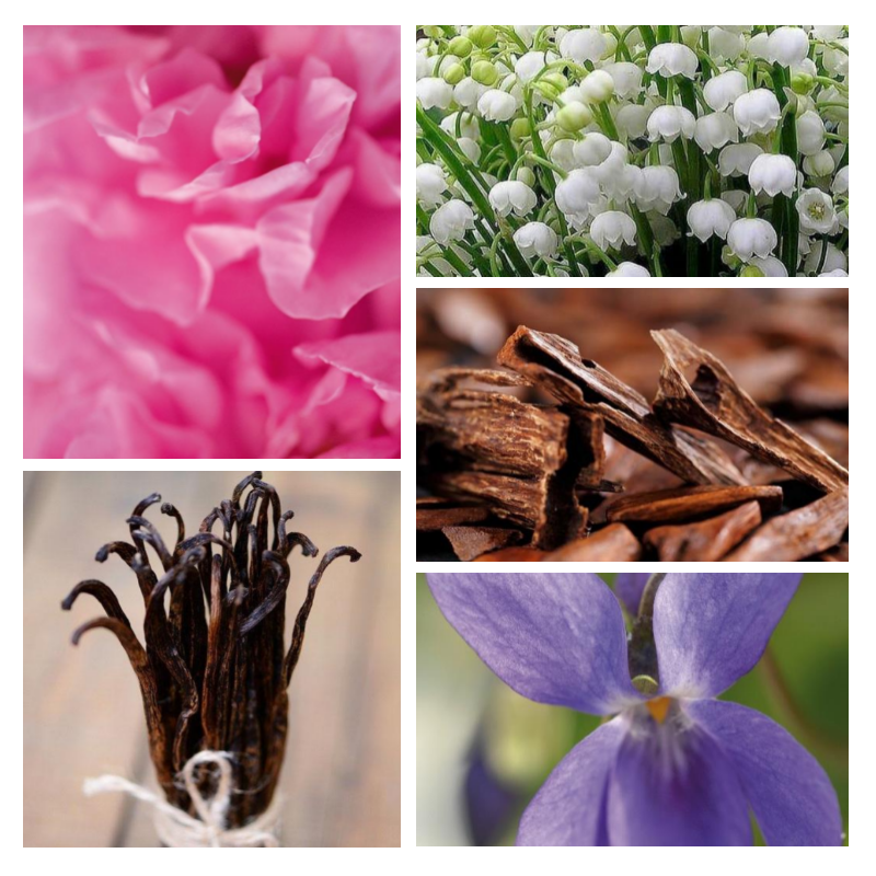 "F83 Florale Orientale" une alternative à "Dolce Vita®" de Christian Dior