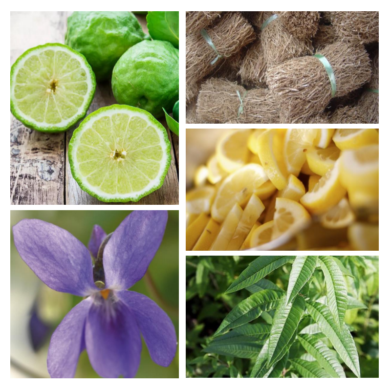 "F93 Florale Fraîche" une alternative à "Ô®" de Lancôme