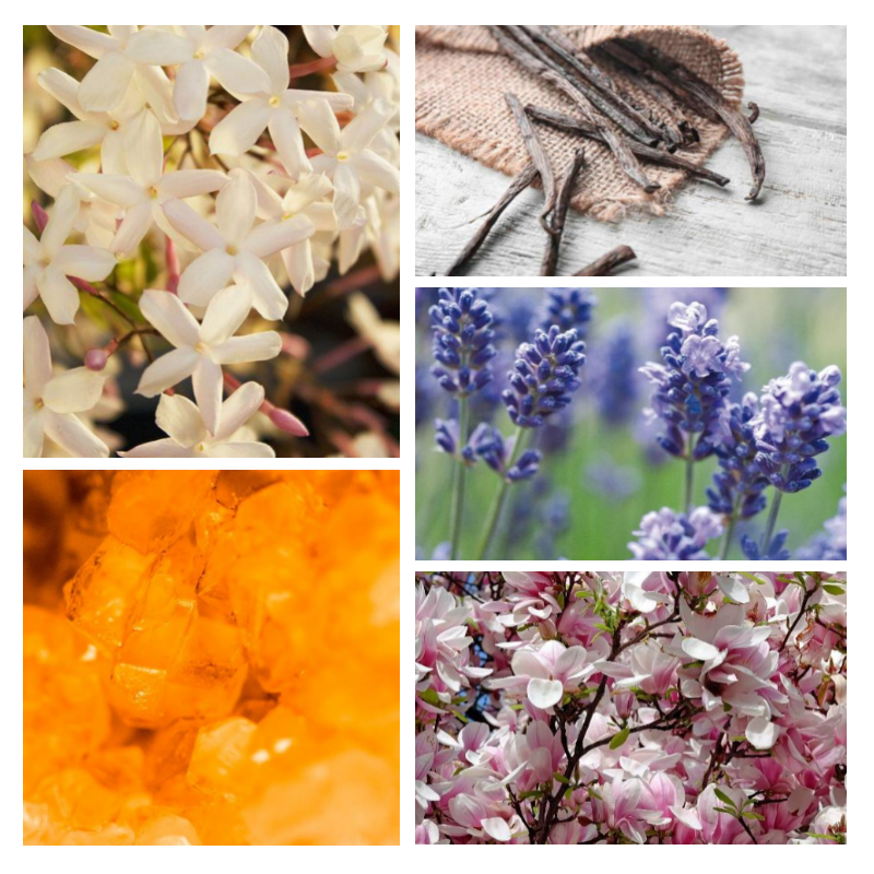 "F95 Florale Ambrée" une alternative à "Libre Intense®" d'Yves Saint Laurent