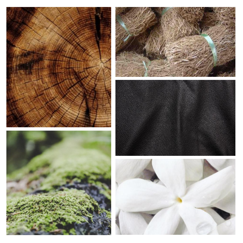 "F96 Florale Boisée" une alternative à "Rive Gauche®" d'Yves Saint Laurent