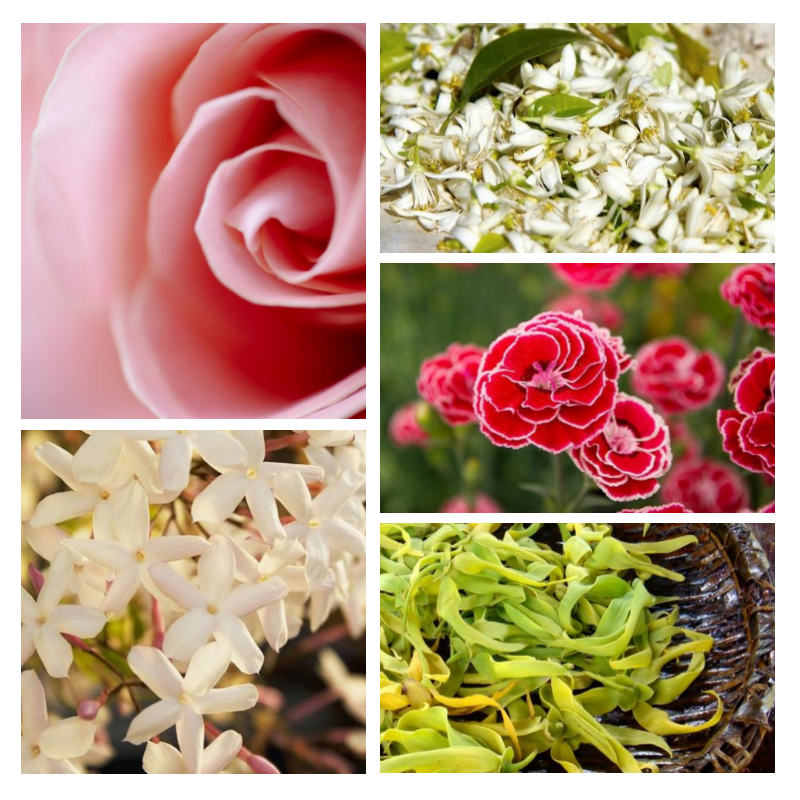 "F100 Florale Florale" une alternative à "24 Faubourg® d'Hermès