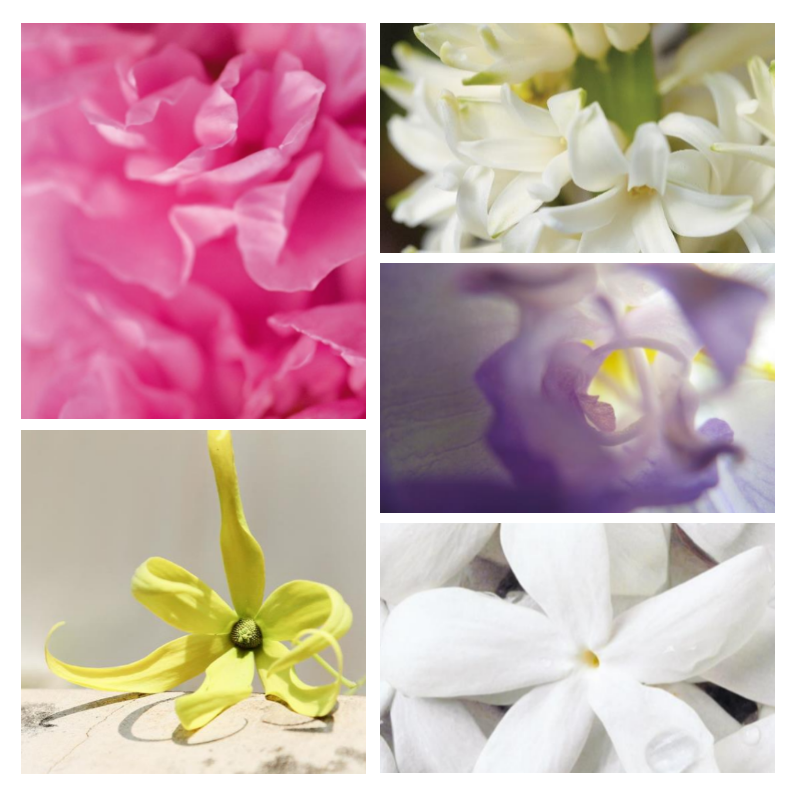 "F101 Florale Florale" une alternative à "N°19 Chanel®" de Chanel