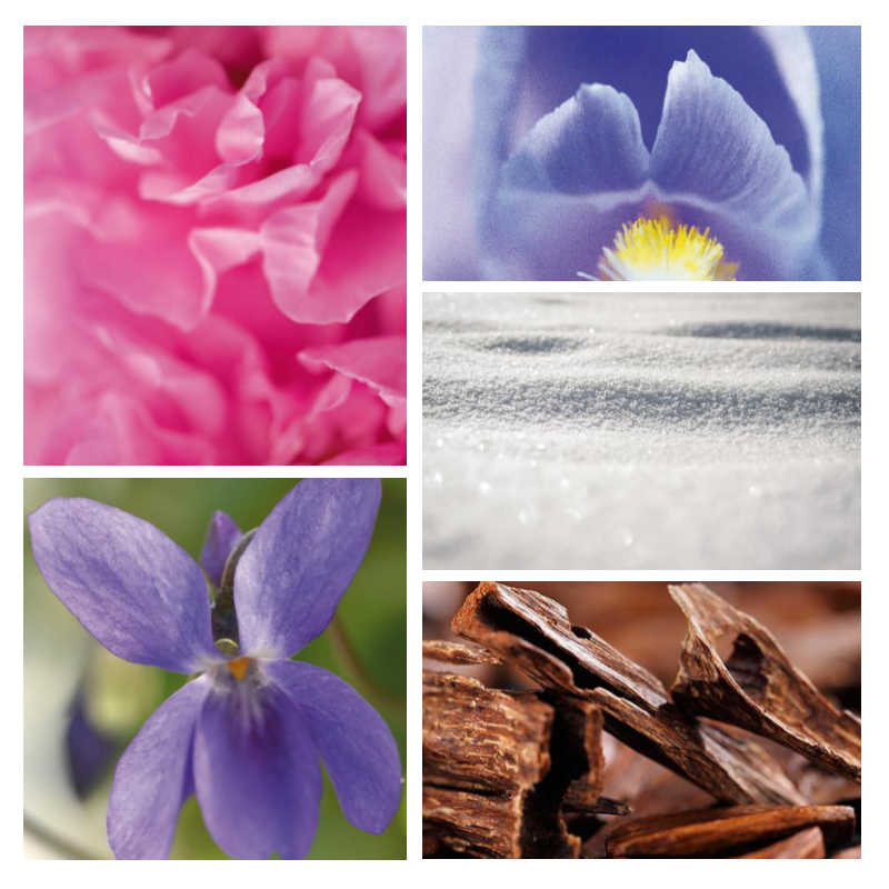 "F102 Florale Musquée" une alternative à "Love® de Chloé