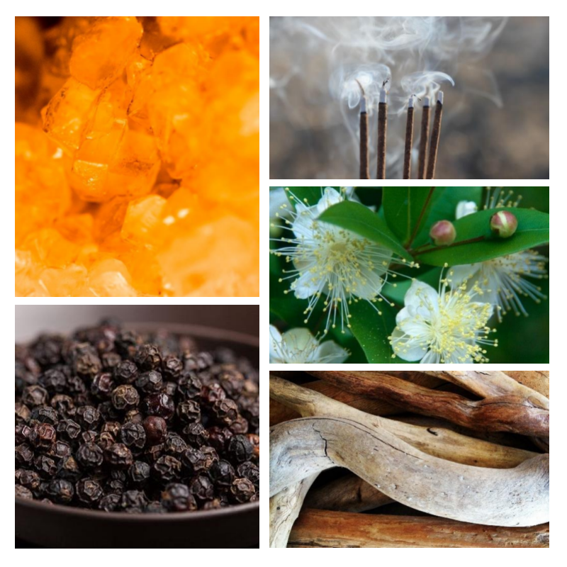 "H80 Boisée Ambrée" une alternative à "Scandal pour Homme®" de Jean Paul Gaultier