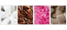Parfums Floraux Boisés